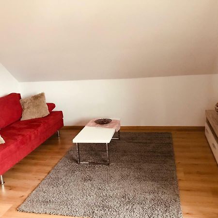 Grosses 1-Zimmer Wohlfuehl-Appartement Rednitzhembach Exterior foto